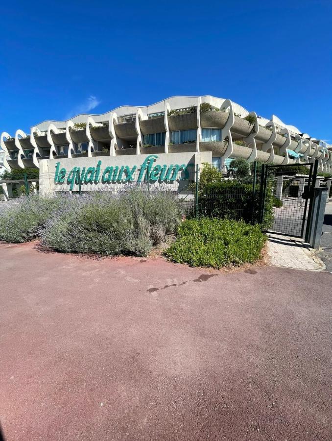 Studio Vue Port, Belle Terrasse, Piscine Le Grau-du-Roi Extérieur photo